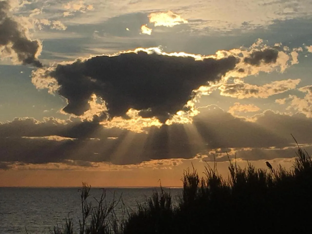 Blissful Beachfront Beachouse Apartment Adelaide